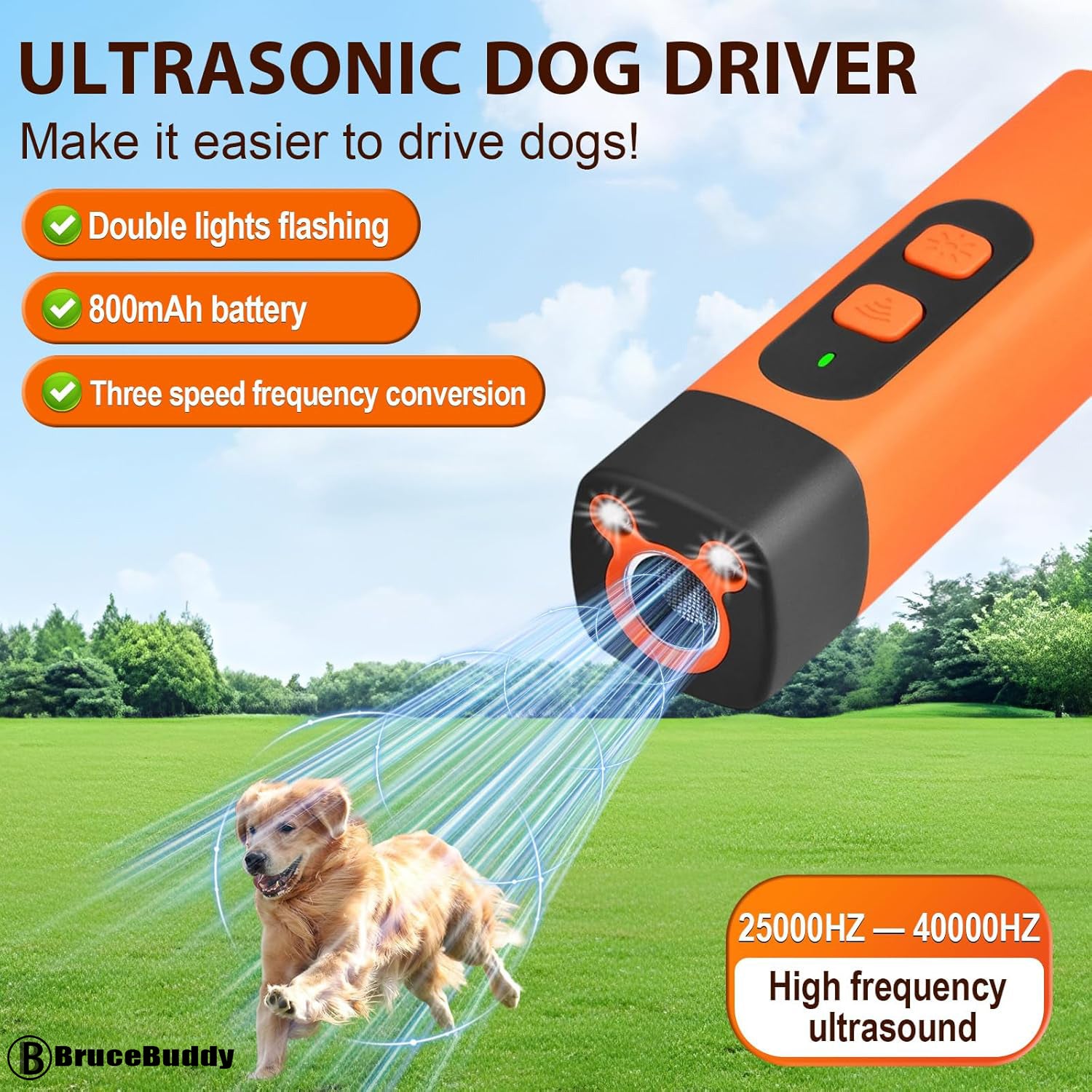 stop barking-orange（p）